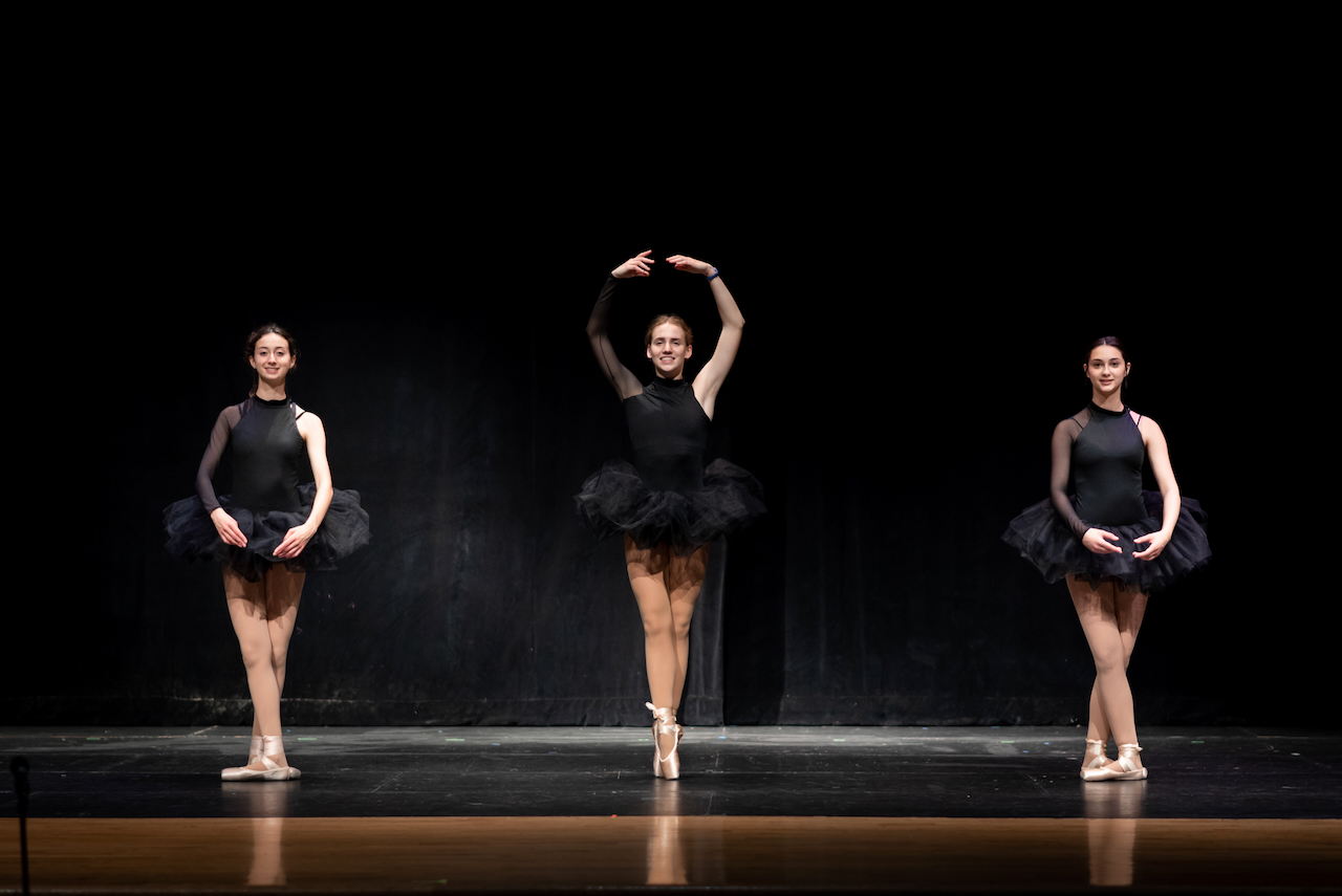 Dancer on Pointe 